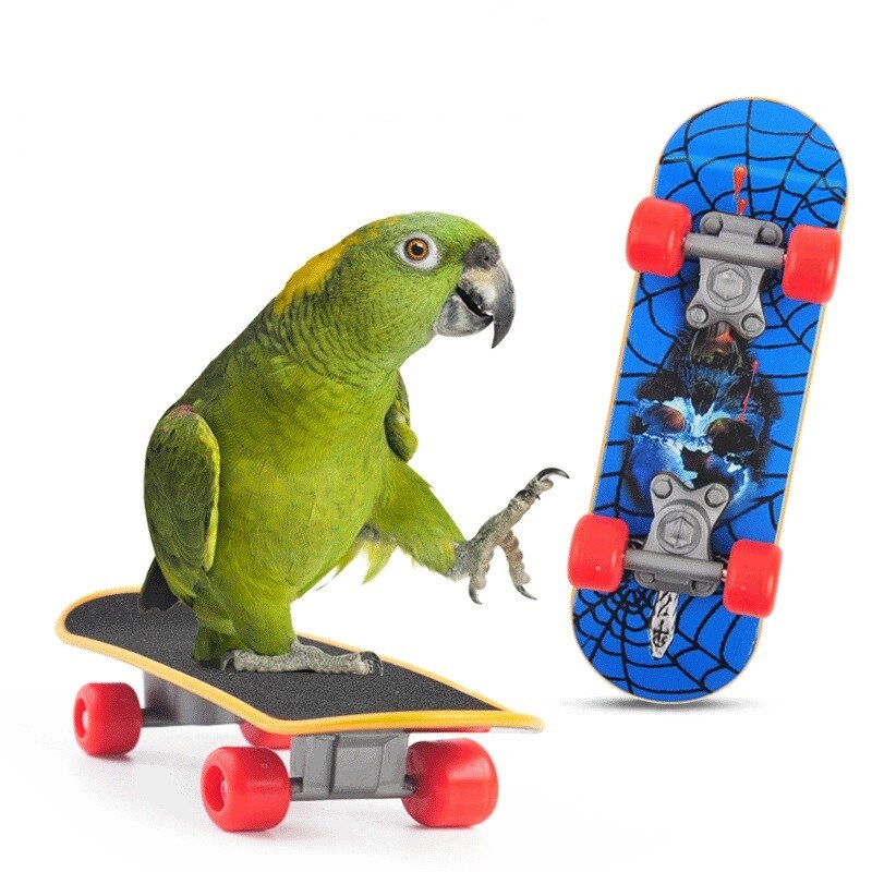 Rolig fågel papegoja leksaker set aktivitet husdjur basket skateboard för kanariefåglar tillbehör för fågelbur papegoja skate vogel