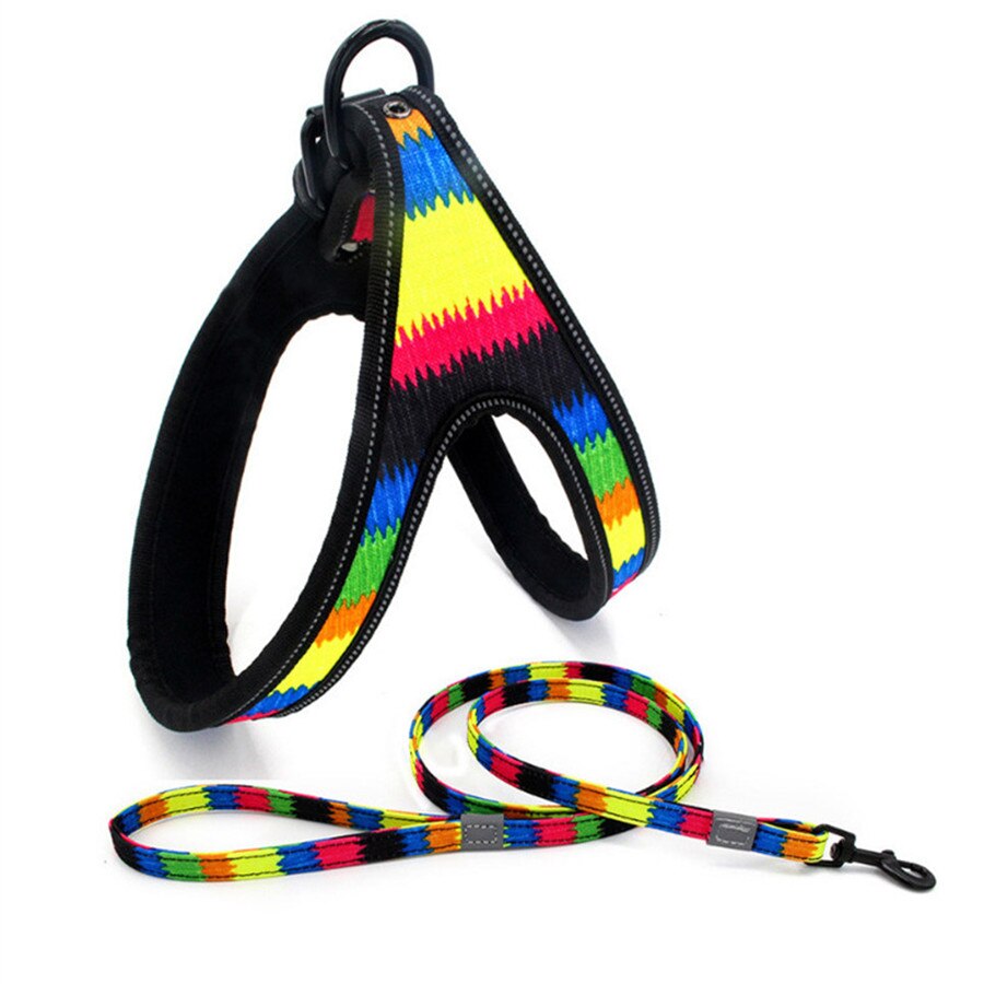 Regenboog Reflecterende Grote Hond Harnas Leiband Set Kleurrijke Veiligheid Comfortabele Zachte Band Vest Walking Leash Voor Medium Grote Honden: Color 1 / S