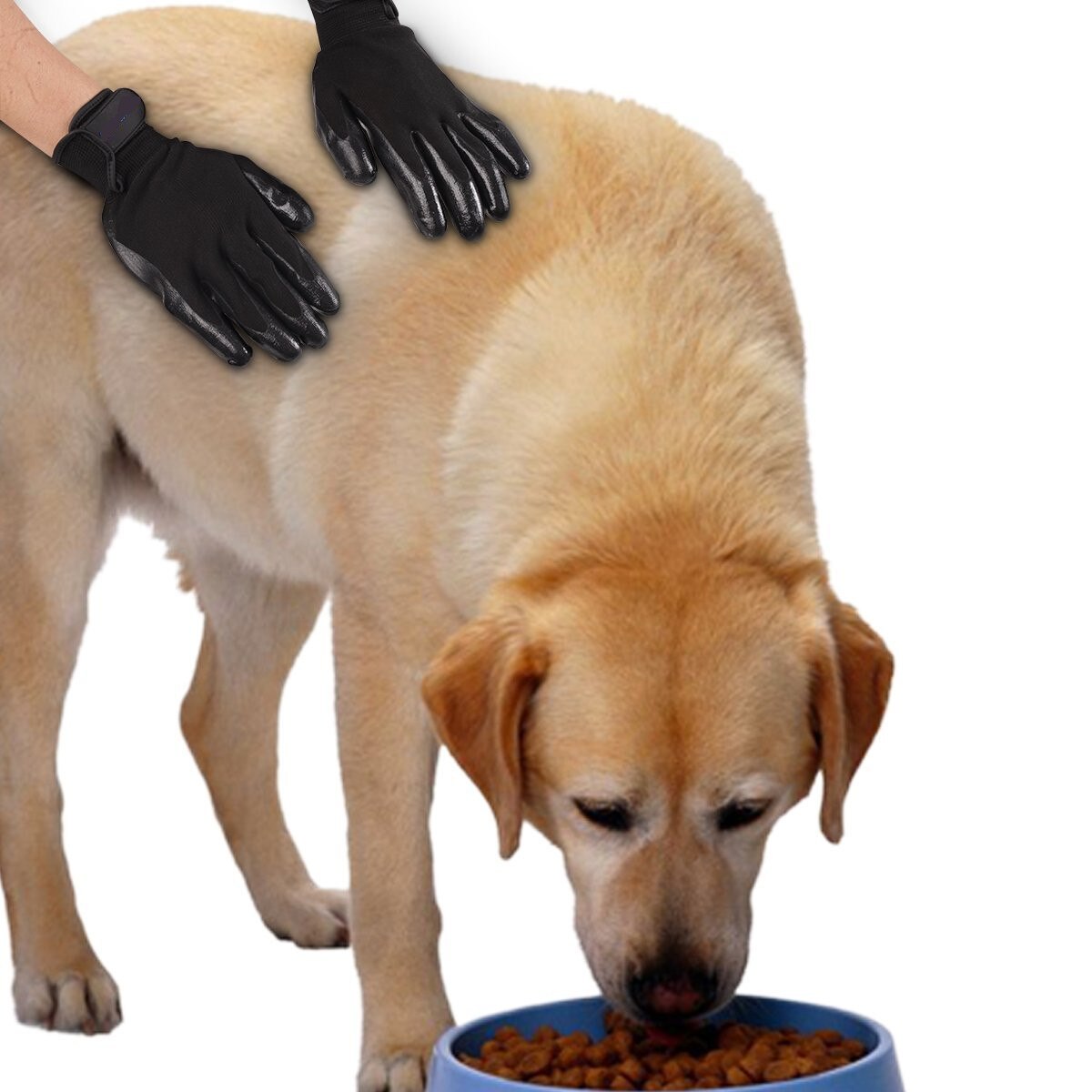 Beaubeau Vachtverzorgings-Handschoen - Verzorging - 16x23x2 cm Zwart - Kam & Borstel - Pets Place
