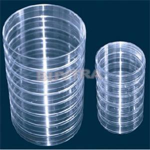 55mm x 15mm klare 10 stk petriskåle af plast til overkommelige sterile petriskåle m/låg til laboratorieplade bakteriegær