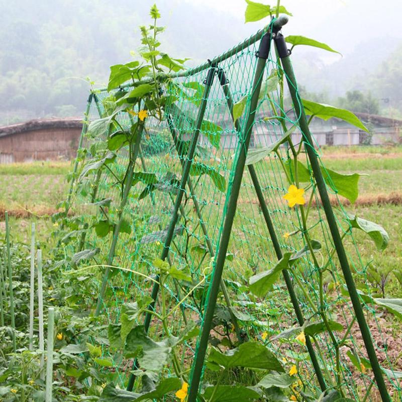 Havegrøntsagsplante nylon netto blomster melon klatring vokse hegn til vegetabilsk klatring vinplanter haven forsyninger