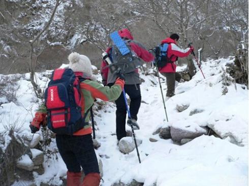 Isgribe udendørs stegjern antiskid skoovertræk klatring klo sne vandreture skisko neglekæde 8 tandede 1 par