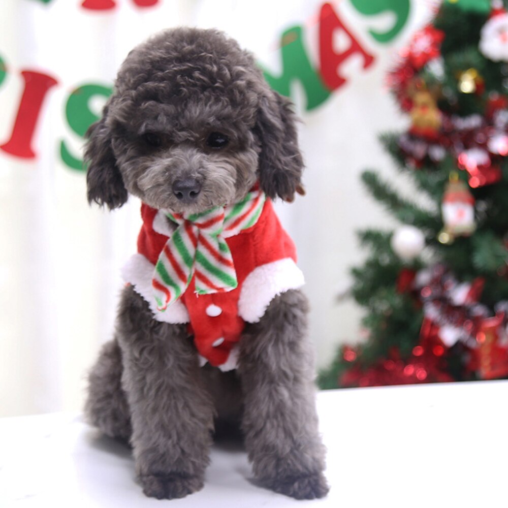 Hund juletøj vinter varm frakke hvalp hund fest hættetrøje med tørklæde kat tøj til lille mellemstor hund