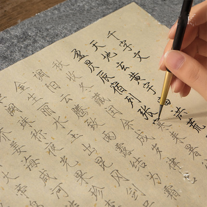 Livre de pratique de calligraphie chinoise pour débutants, écriture or mince Shou Jin Ti, papier riz, cœur Sutra &amp; mille caractères