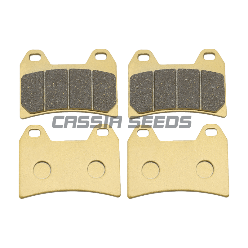 Motorcycle front and rear brake pads for Ducati 696 Monster 750 Supersport 796 800 848 Street Fighter 900 ST2 ST3 ST3S S4 ST4S: Dark Grey