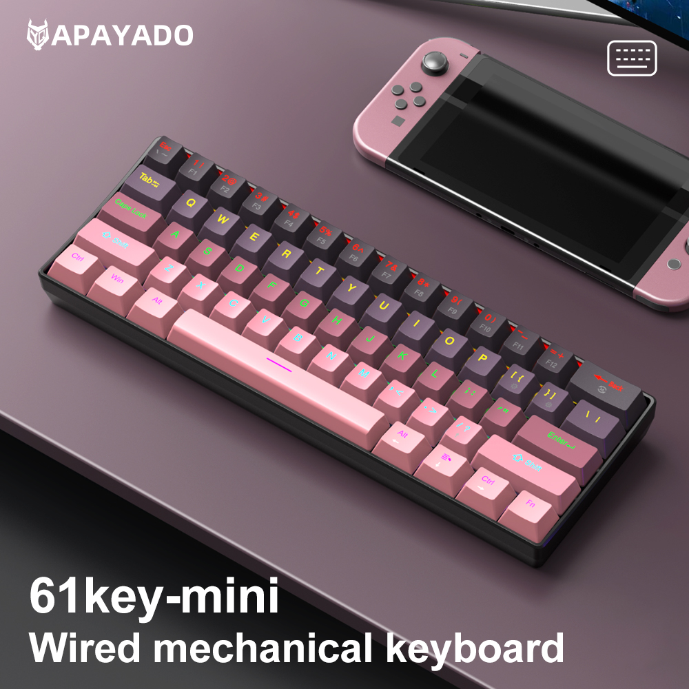 Mini 61 Keys K61 Wired Mechanical Keyboard | Compact Layout | Detachable Cable | Gradient Keycaps | Full N-Key Rollover