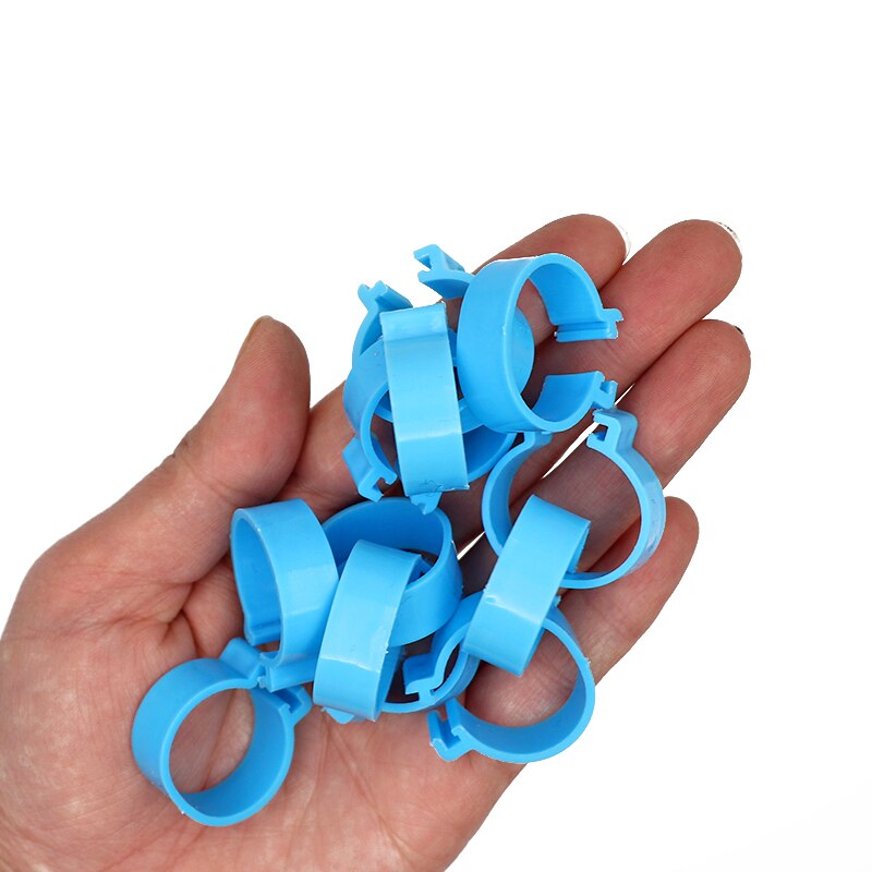 200 Stuks Kip Voet Ringen 20Mm Pluimvee Been Digitale Label Gesp Ring 6 Kleuren Zonder Woorden Plastic Kuiken Eend gans Apparatuur