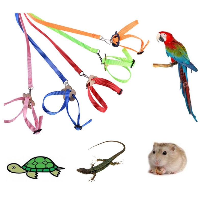 Harnais Fourche D'entraînement En Cuir Pour Chien – Type Running Avec Quincaillerie Laiton (martingale)