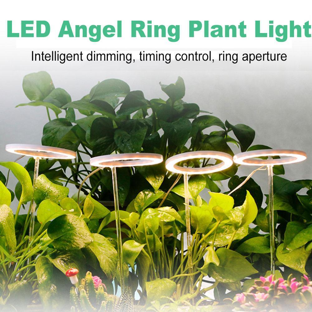Angel Ring Led Groeien Licht Groeien Lamp Usb Phytolamp Voor Planten 5V Lamp Voor Planten Groei Verlichting Voor Indoor plant