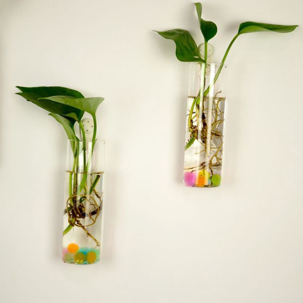 6 former diy klar hängande glasvas blomväxter terrariumbehållare vas mikro landskap bröllopsdekoration