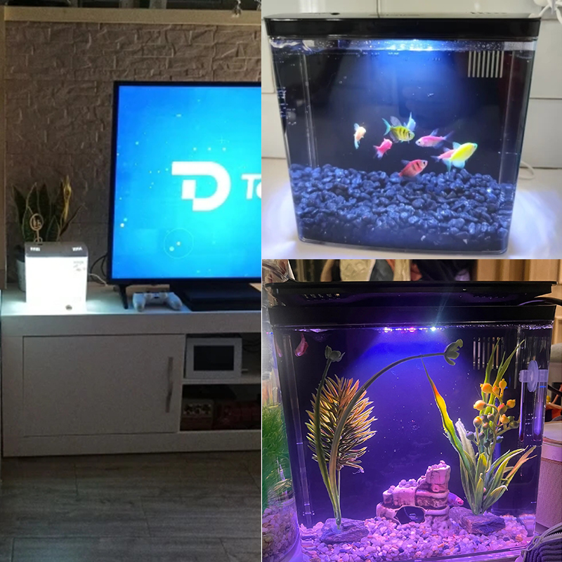 Aquarium Klein Mini Aquarium Thuis Vis Aquarium Zelfcirculerend Terugfilter Met Verlichting En Golfpompen Aquarium Kits