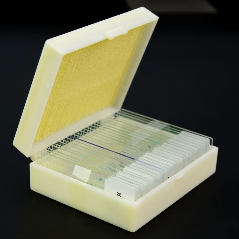 25 pcs Prepared Glass Microscope Slides for Children Student Biological Microscopes with Chinese and English Label: 1Box Insect