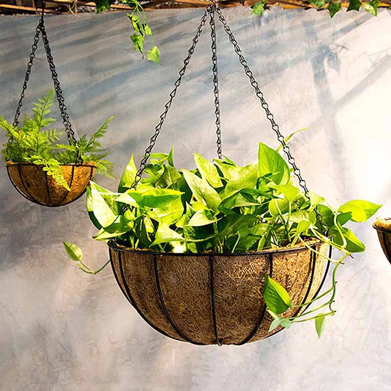 10 Inch Metal Hanging Flower Baskets With Round Wire Plant Holder Pots For Wall Decoration Countyard Garden