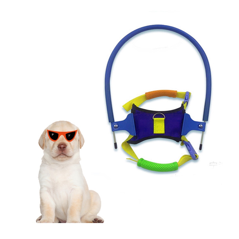 Blind pet durable anti-collision ring high material wear-resistant and durable dog halo 5 sizes blue