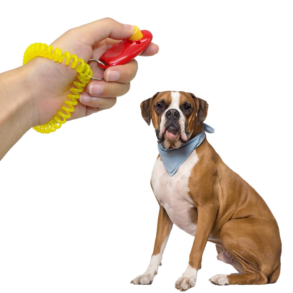 Kæledyr hund træning clicker universal dyr hund træner lyd lydighed hjælp håndledsrem træningsværktøj kæledyr leverer hund tilbehør