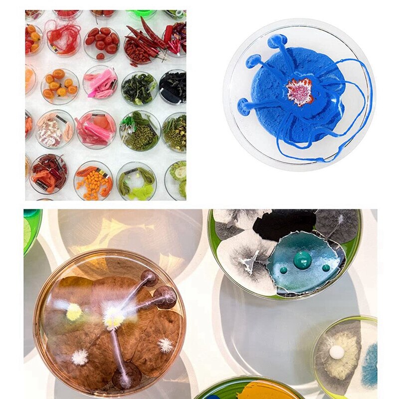 Steriele Plastic Petrischaaltjes Met Deksel, Clear Petrischaaltjes Met Pipetten Voor Laboratorium, Experimentele Les, Mobiele Cultuur