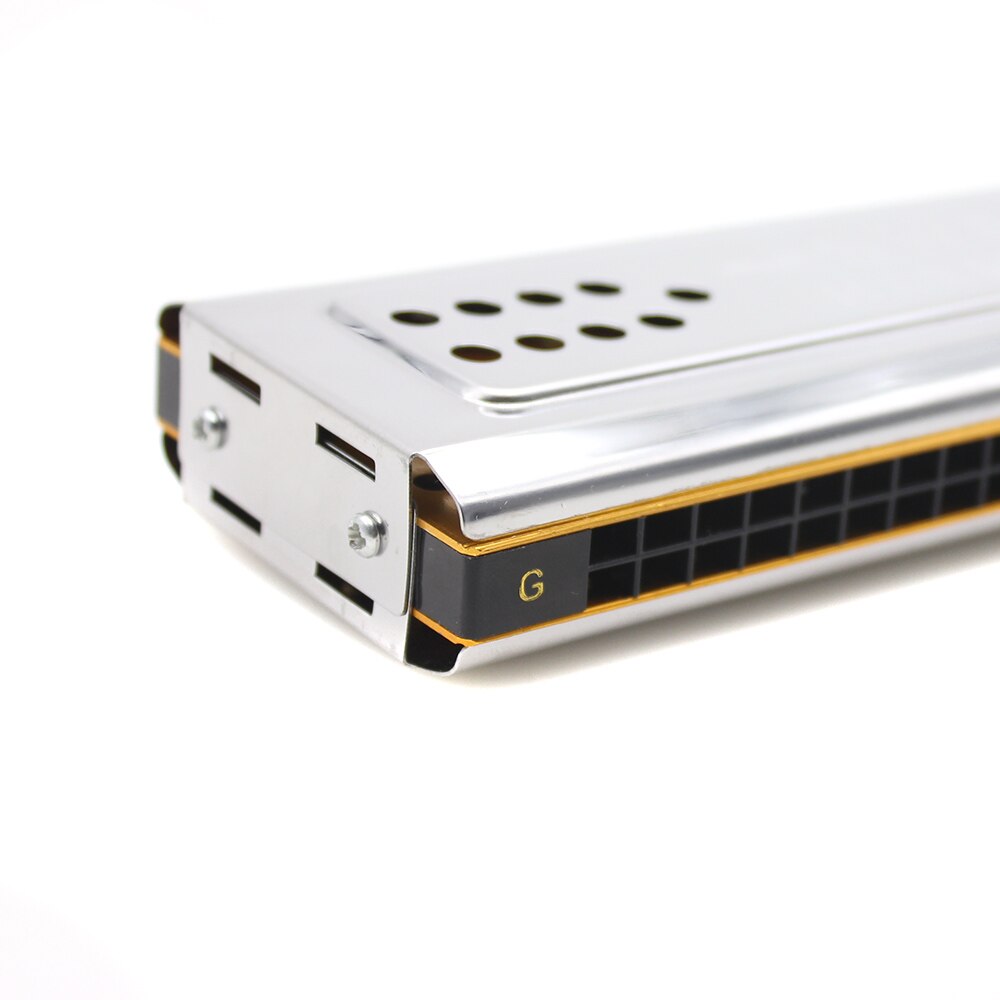 Svan 2- i -1 dubbelsidig tremolo munspel munorgel dural nyckel av c & g 24 dubbelhål vass blåsinstrument med rengöringsduk