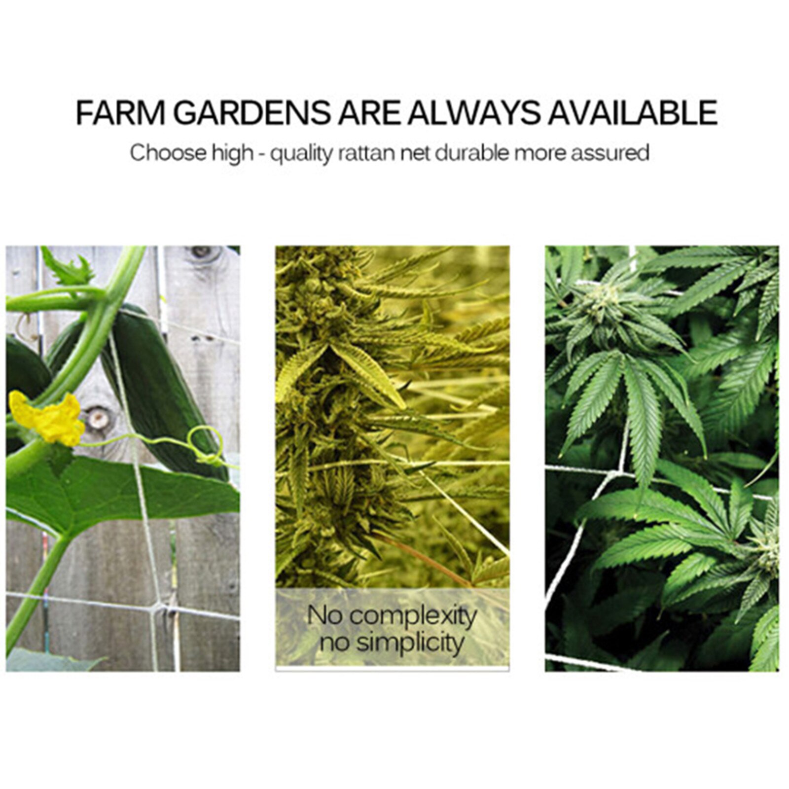 1.67x10m Netting Plant Vine Climbing Net Support Garden Woven Polyester Nylon Fence Green 5×30FT