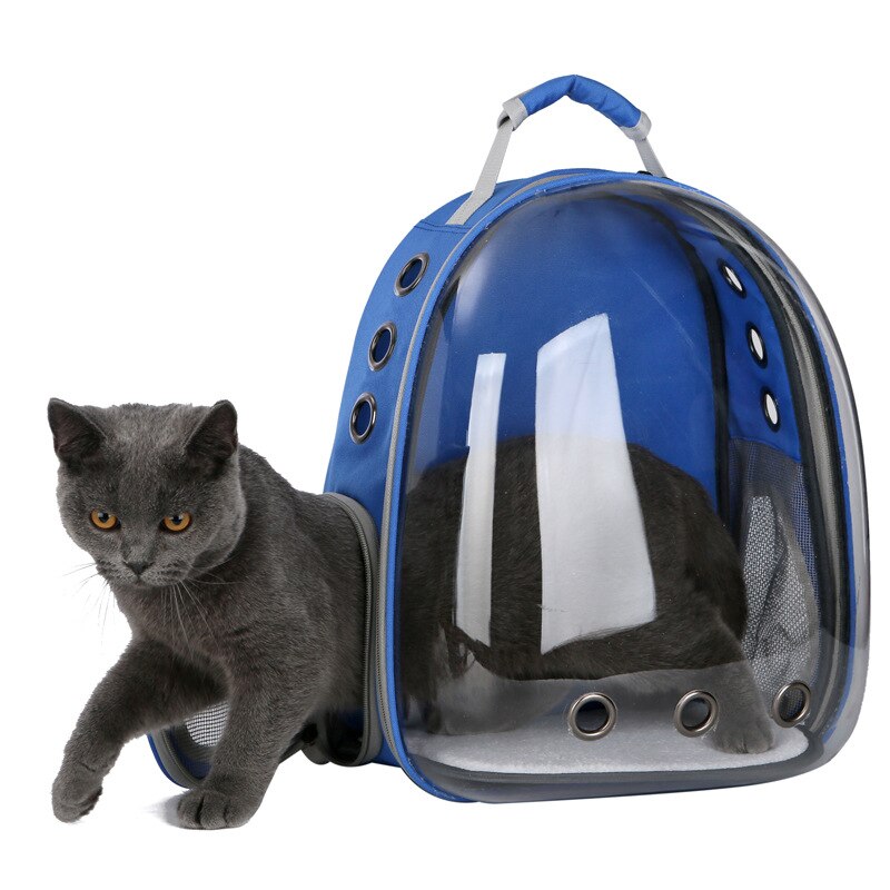 Kattepose åndbar bærbar kæledyrs taske udendørs rejse rygsæk til kat og hund gennemsigtig plads kæledyrs rygsæk: Blå