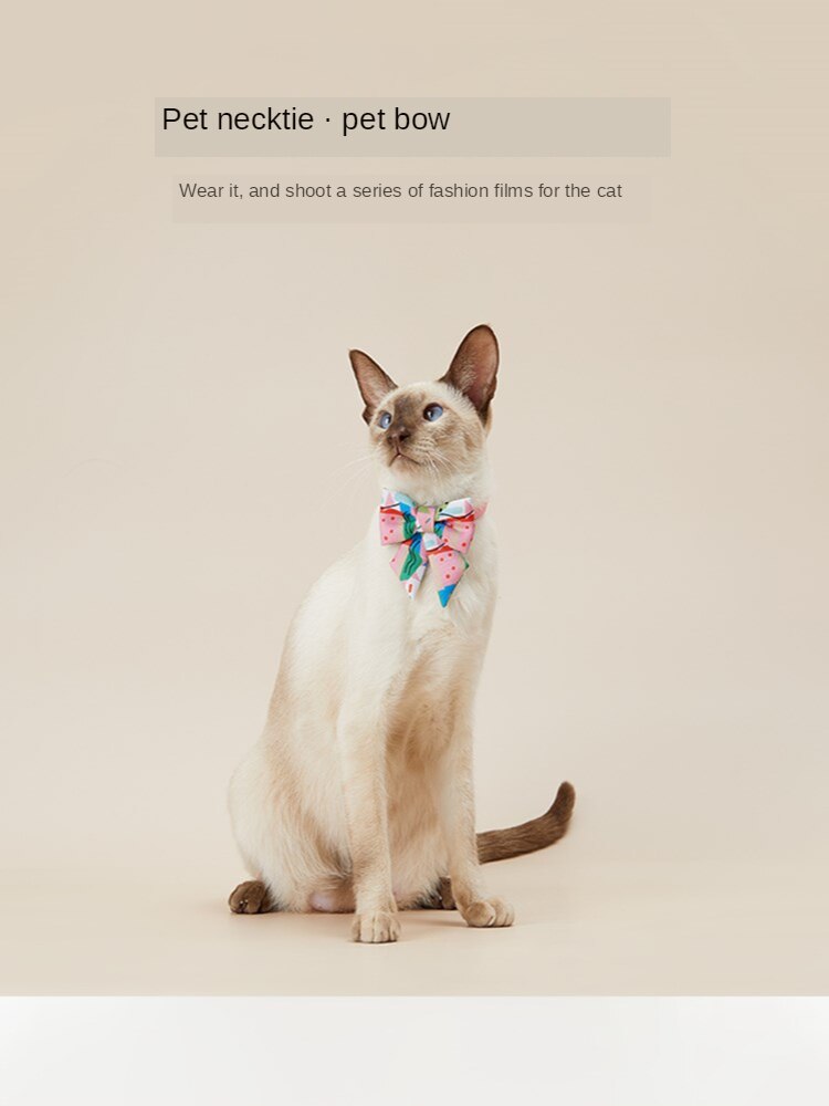 PETKIT-Collar con lazo para mascota, accesorio bonito para perros pequeños, accesorios para gatos, hebilla de seguridad antiasfixia