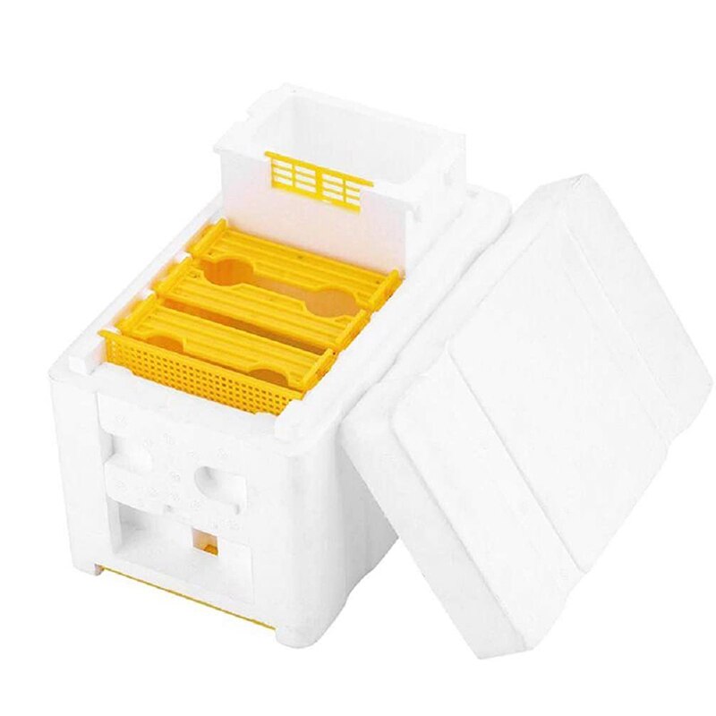 Beehive Beekeeping King Box Pollination Box Foam Frames Beekeeping Tool Kit