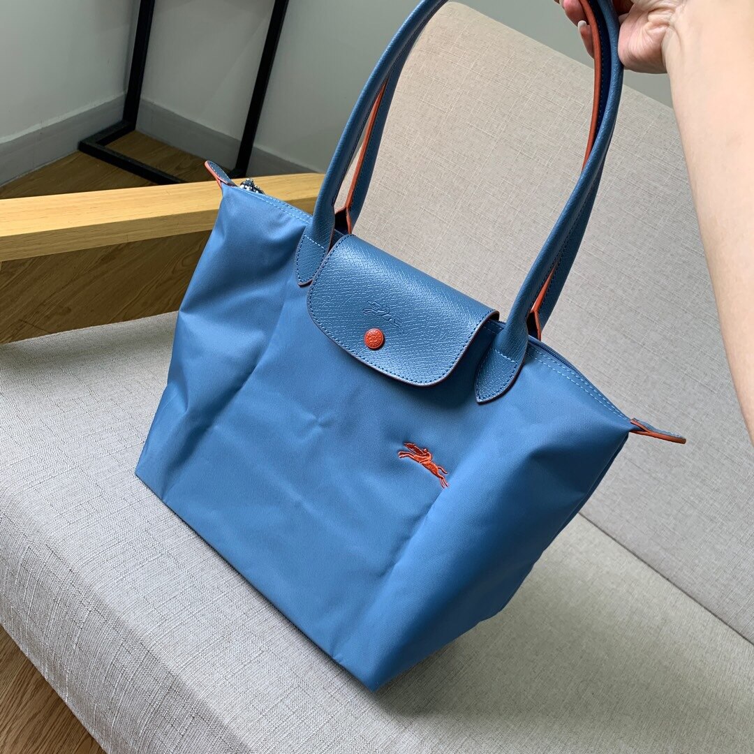 Short Handle Small 70th Anniversary Embroidered Horse Girl Dumpling Bag Mini Handbag Nylon Canvas Bag: Haze blue