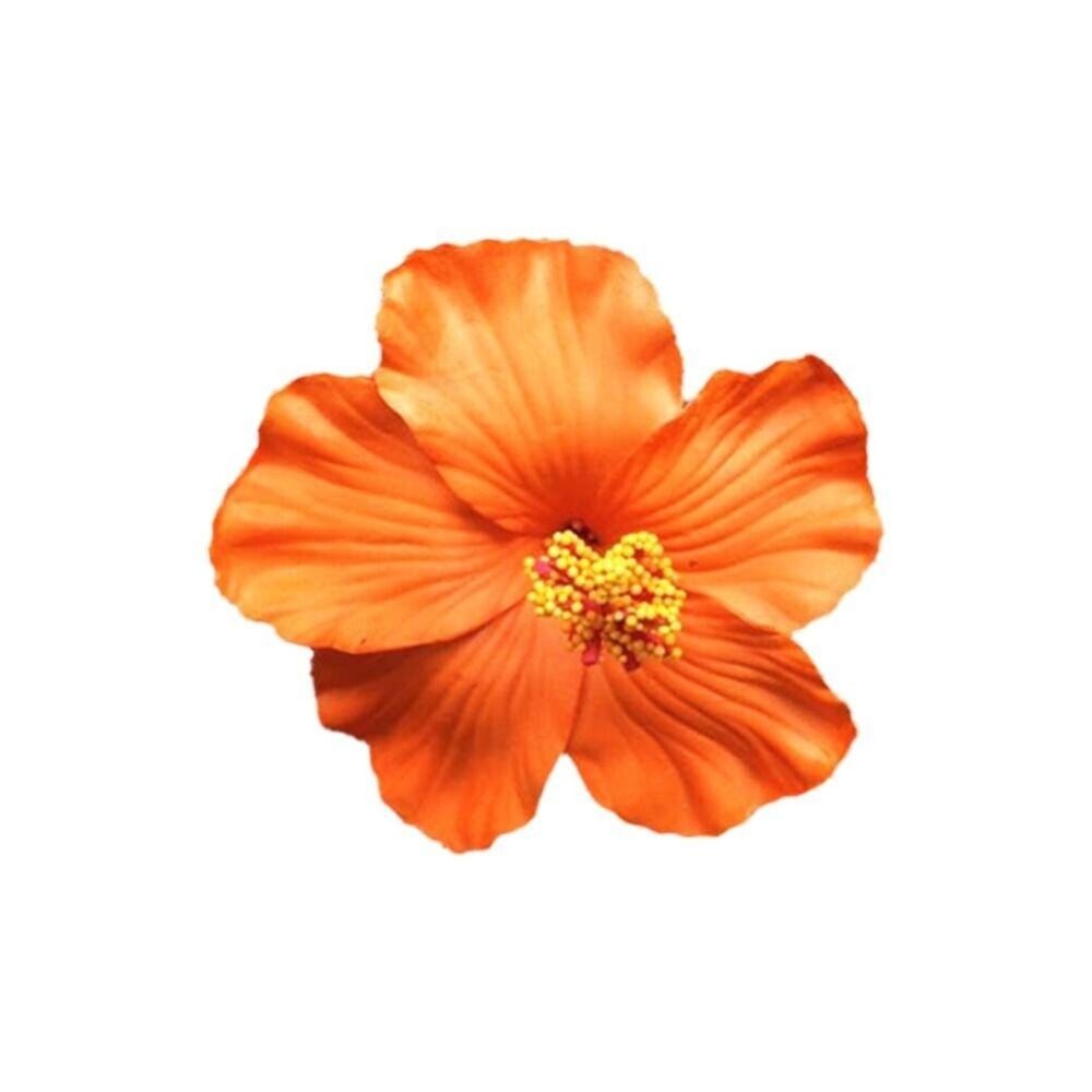 Alfinetes para Cabelo para Mulheres, Flor De Seda, Pérola Grampos De Cabelo, Noiva Capacete, Broche De Flores De Dama De Noiva, Festa De Casamento, Presilhas: Marfim