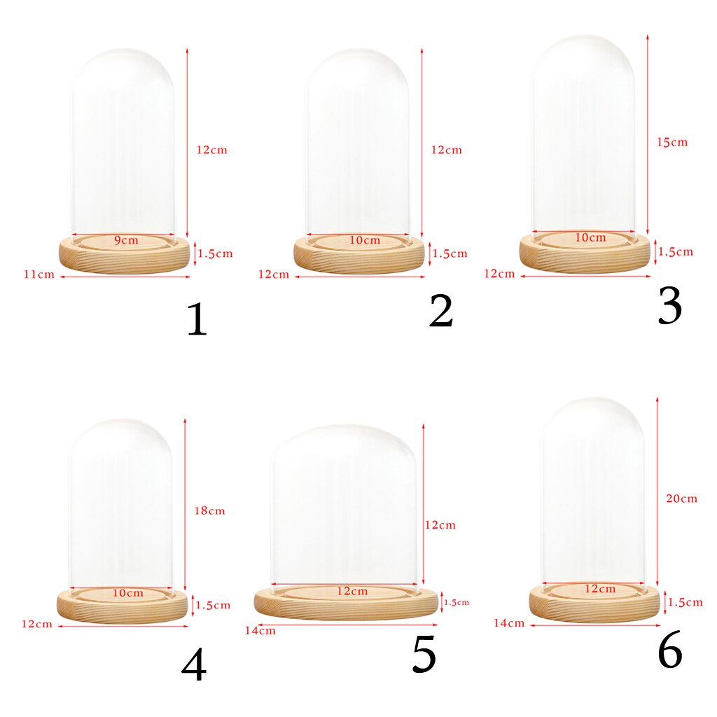 Clear glass display dome with LED wooden base Display Stand dry flower plant Box for bedroom living room office decor Display