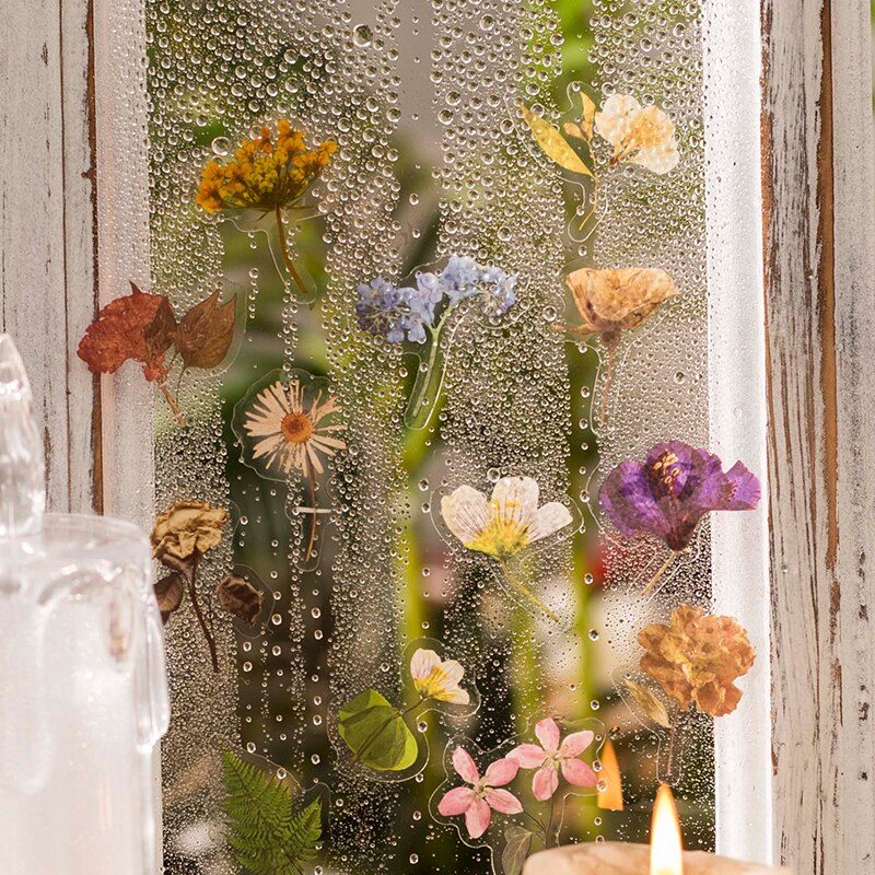 Retro Dried flower specimen PET Deco Stickers Plant Flower Leaf Transparent Bullet Journaling Accessories Aesthetic Stickers