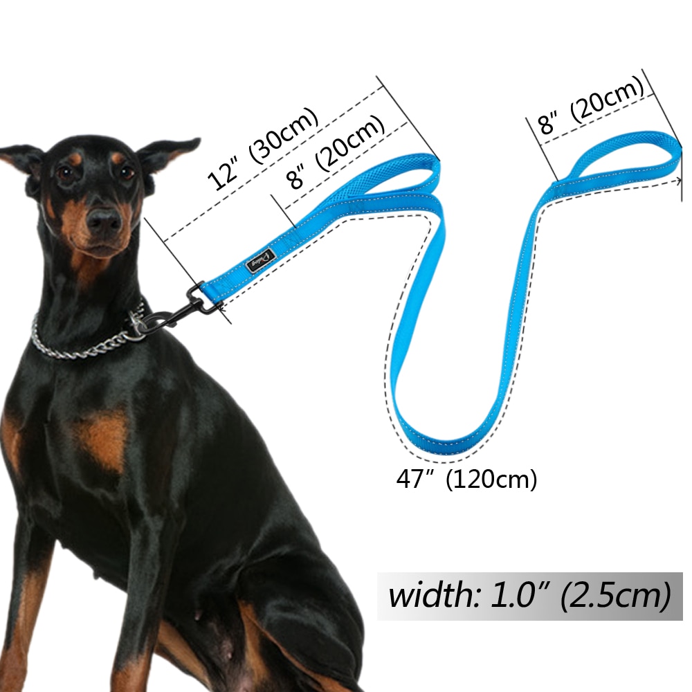 2 Handles Nylon Padded Double Handle Leash For Greater Control For Medium Large Dog Dual Padded Handles Protect Dog in Traffic