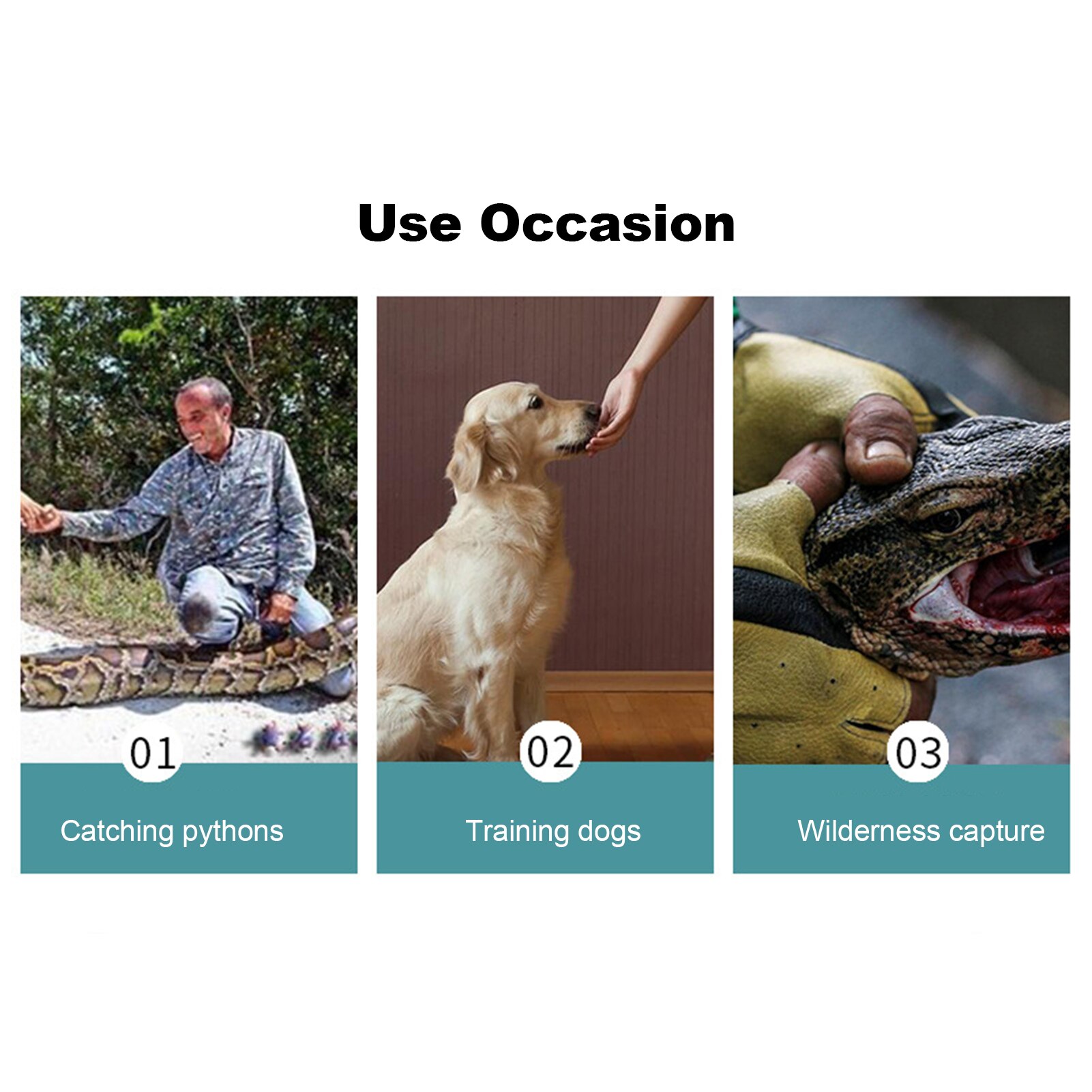 Haustier Anti-beissen Sicherheit Handschuhe Beekeeping Handschuhe Ultra lang schützend Anti kratzen Pro Hund Katze Vogel Schlange Eidechse Baden Ausbildung