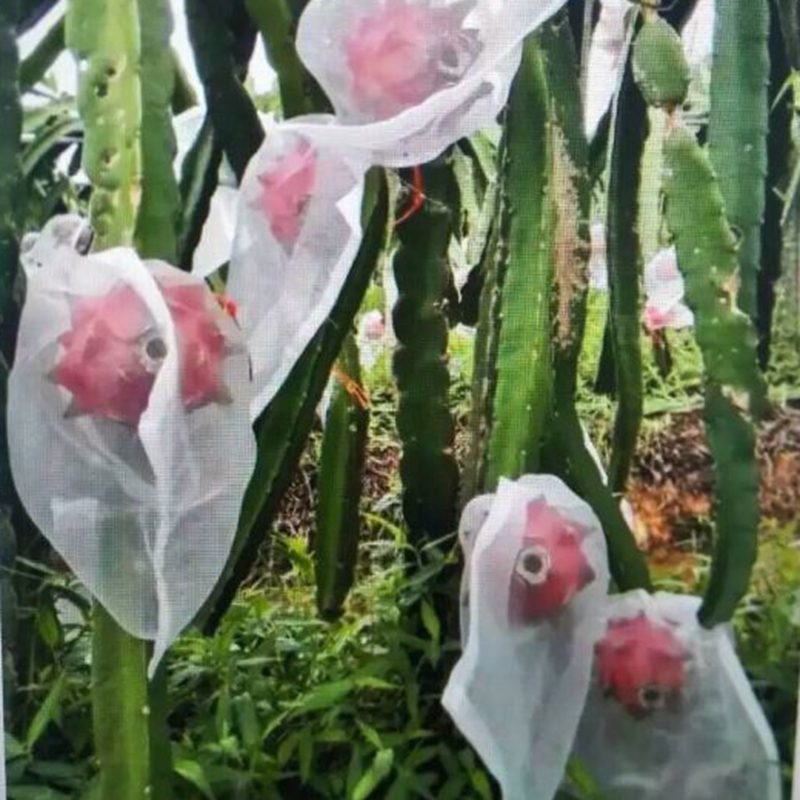 5 stücke 15-140 cm 40 Gittergewebe Nylon Netz Tasche Obst Gemüse Schutz Abdeckung Anti Moskito Fliegen Insekt Netz garten Pest Kontrolle Netz