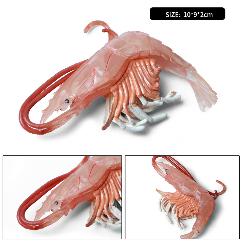Oenux havdyr simulering tigerrejer krebs rejer havliv modelfigurer actionfigurer samling legetøj til børn: Flerfarvet