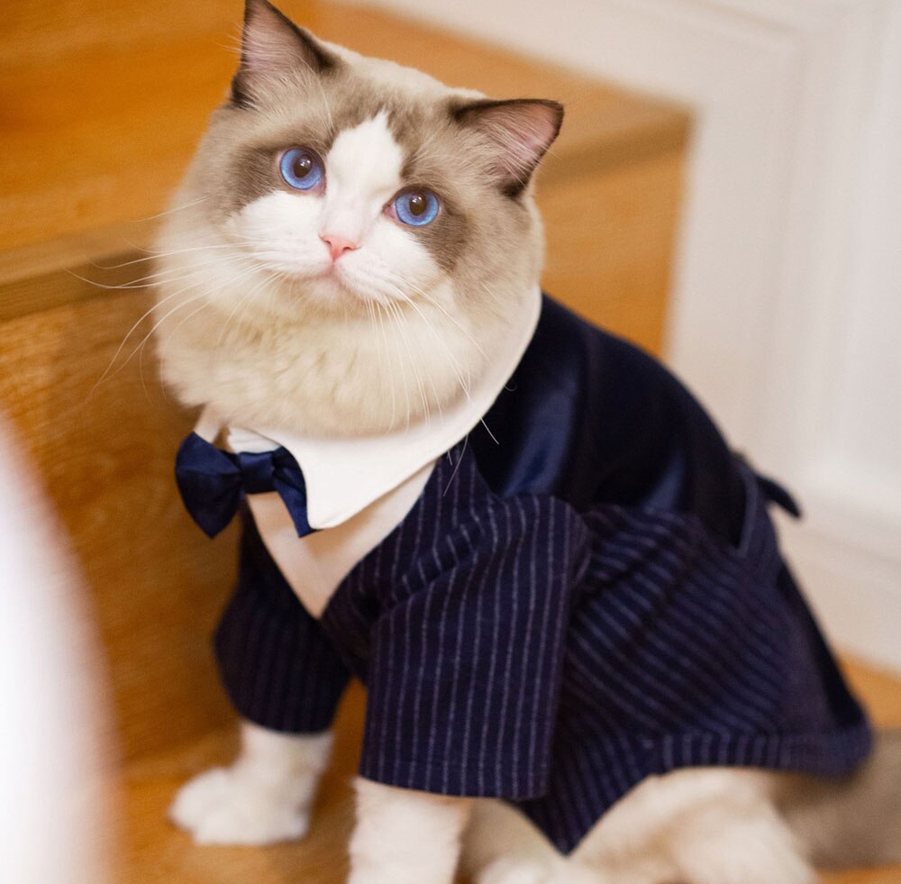 Hund Hochzeit Anzug Junge Hund Kleidung Hochzeit Kleid Katze Mantel Kleidung für Hund und Katze Haustier Hochzeit Anzug Bogen Klassiker romantische