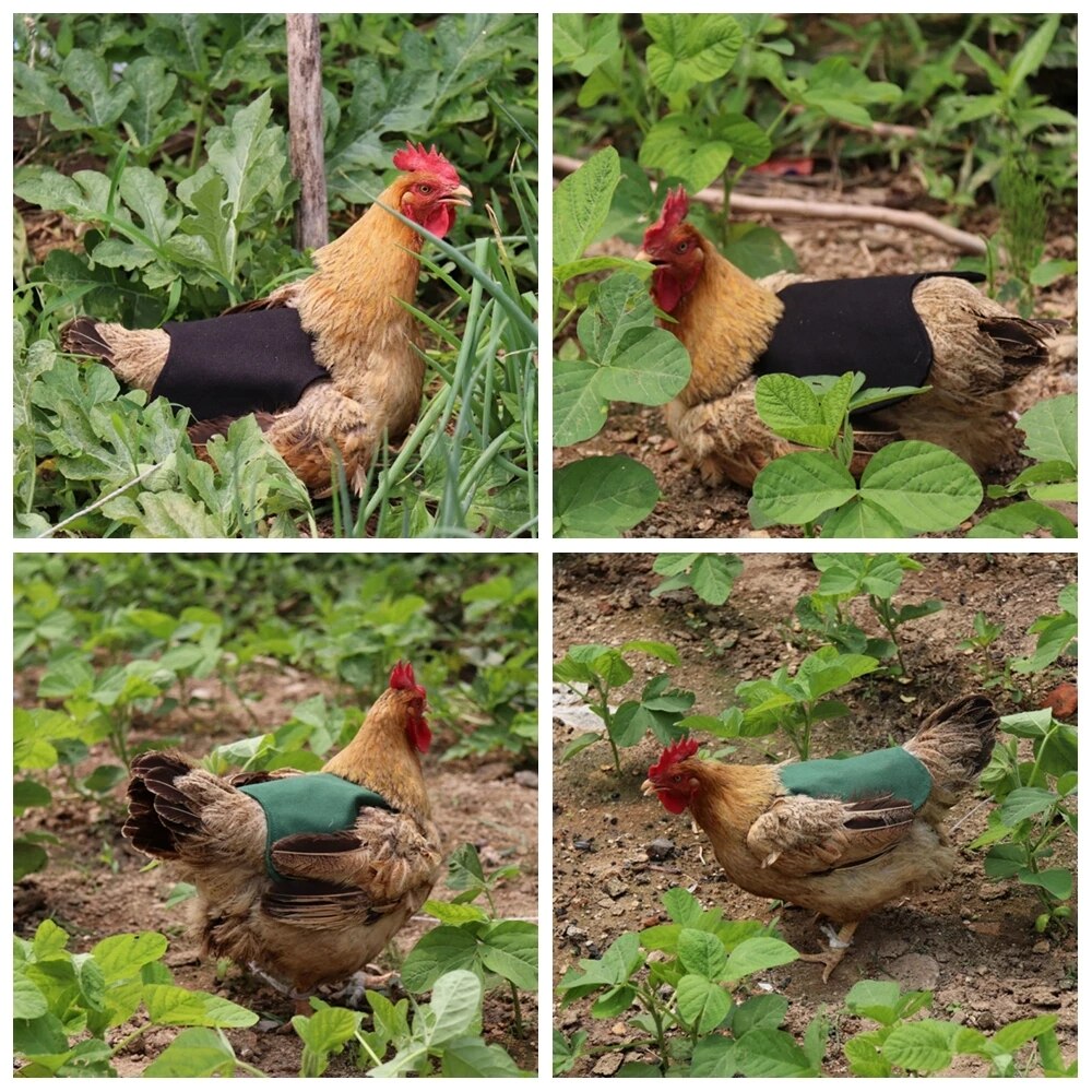 Casquette de casque de poulet pour animaux de compagnie, équipement de Protection contre le soleil et la pluie, jouet pour les poules, accessoires pour petits animaux de compagnie