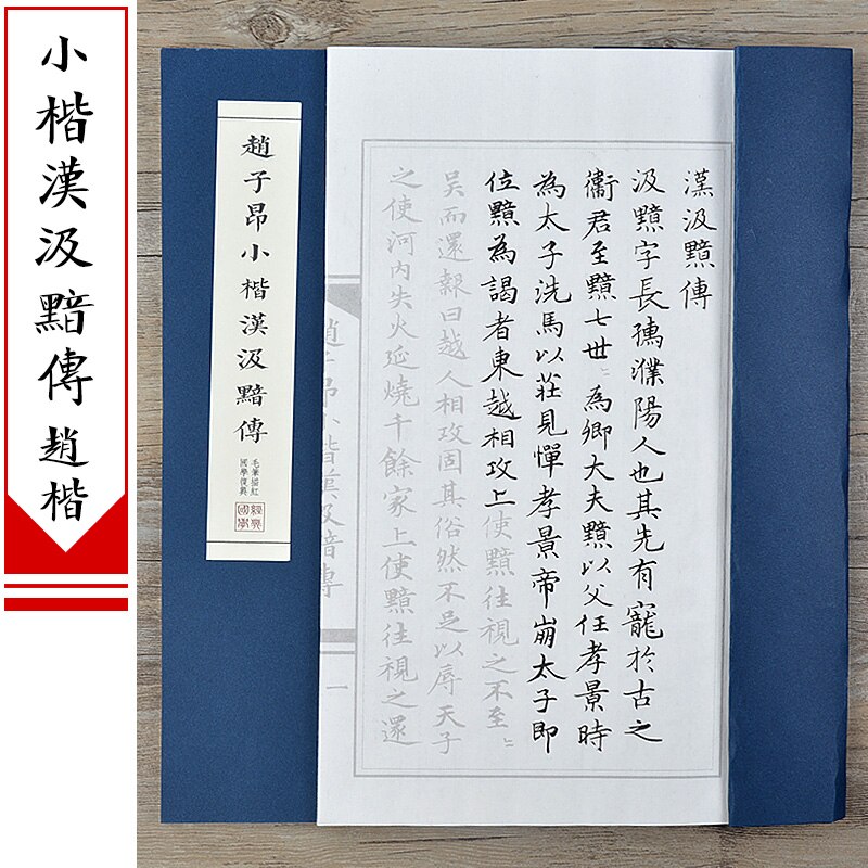 Chinese Calligraphy Copybook Running Script Scriptures Poem Copybook Calligraphy Practice Small Regular Script Copying Book: L