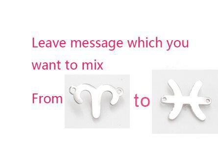 Fnixtar 15mm Mirror Polished Stainless Steel Twelve Zodiac Charms DIY Constellation Connectors Charms DIY Jewelry 12pcs/lot: steel color