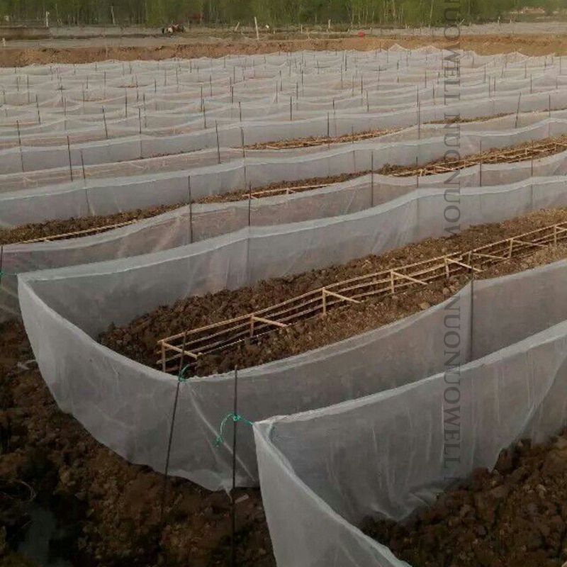 80 nät anti-escape fiskodling avel bur stek fisk krill bur vattenbruk nät terrarier fiskodling nylon nät bur