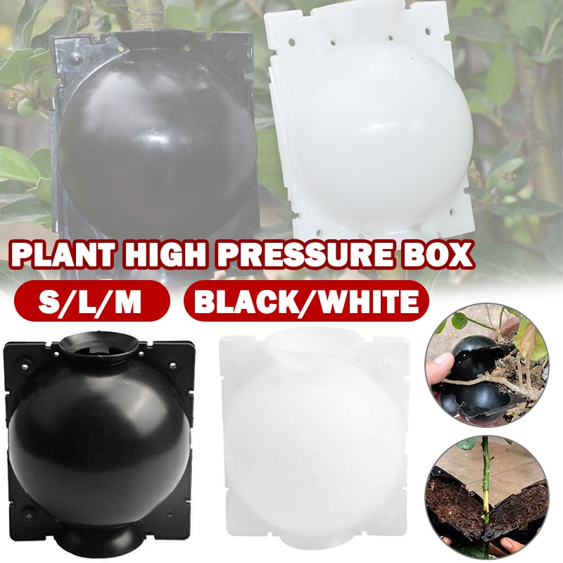 Protector de cultivo de plantas, contenedor de bolas de propagación de raíz de plantas, caja de injerto a raíz de jardín al aire libre