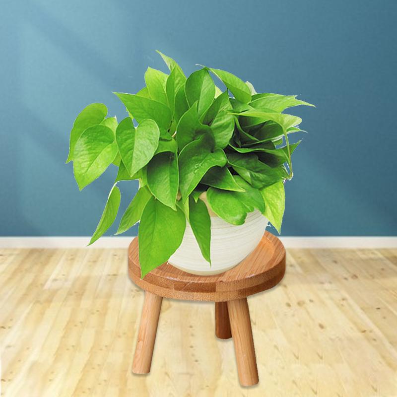 Support en bois pour plante d'intérieur, tabouret haut rond, moderne pour salon, porte-plante décoratif en bois pour canapé, salon