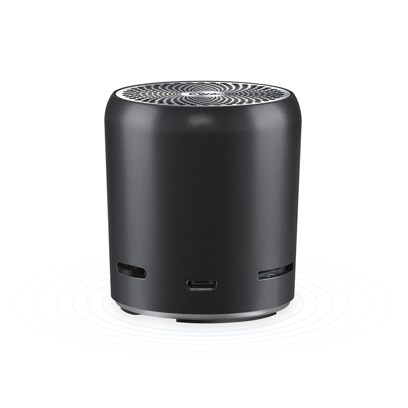 Ewa A107S Draagbare Draadloze Bluetooth Speaker Heavy Bass Boom Box Mini Subwoofer Tws Draadloze Luidspreker Tf Card 800Mah Metalen body: Black