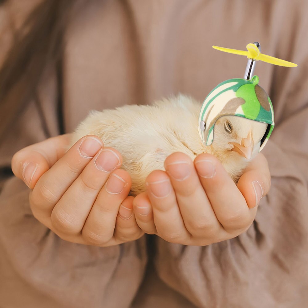 2pcs Chicken Helmet Protection Helmet Hens Pet Supplies Pet Hat for Chicken
