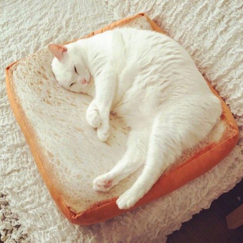 Toast Bread Cat Pillow Dog Pet Supplies Bed Mat Soft Cushion Plush Seat