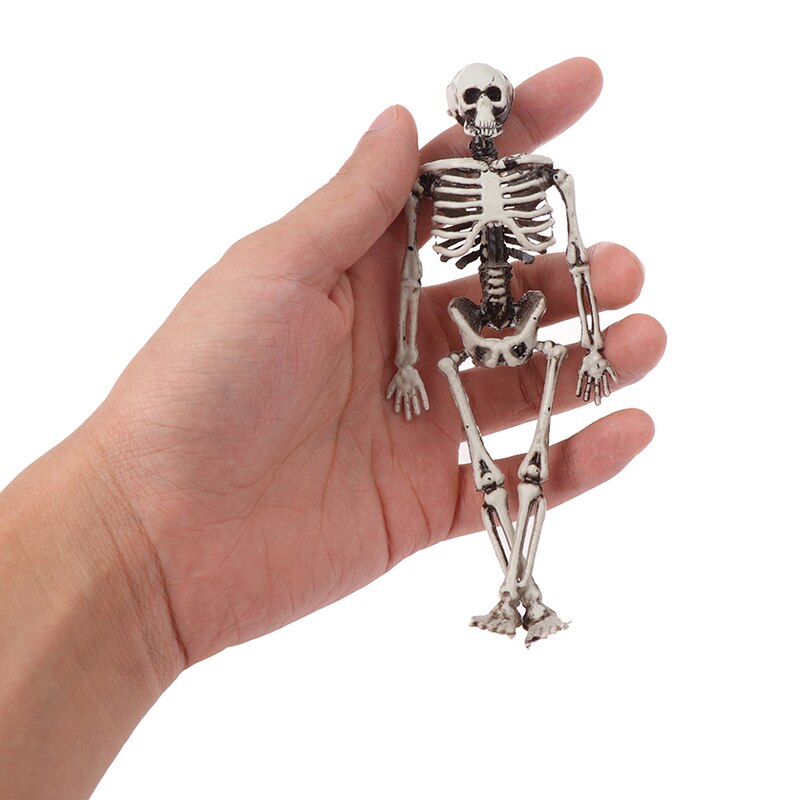 Skelet Model Leer Hulp Anatomie Art Sketch 15 CM Halloween Flexibele Menselijke Anatomische Anatomie Bot