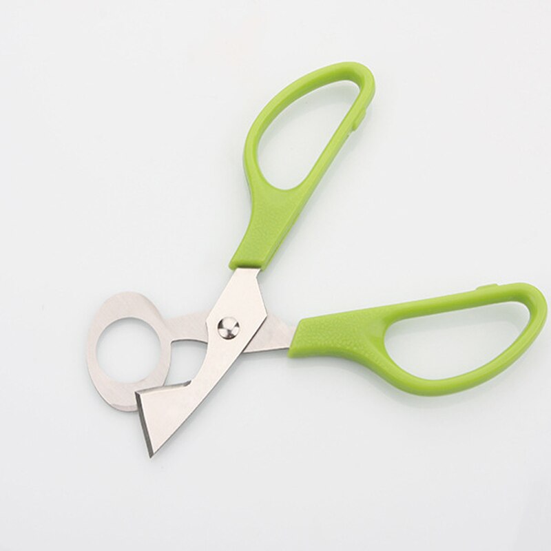 Stainless Steel Cut Whisk Egg Apparatus Pigeon Quail Egg Scissor Bird Opener Tool Clipper Gen Eggshell Cutter