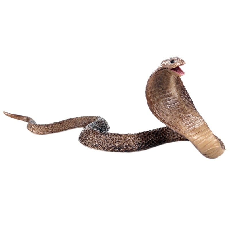 Simulation krybdyr model cobra slange amfibiebriller kingsnake model ryddelige legetøjsmøbler: Default Title