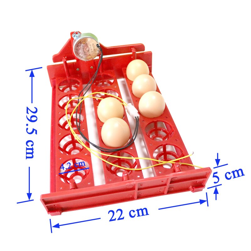 15 Eggs Mini Incubator Automatically Turn Eggs Tray 220V/110V/12V Laboratory Family Incubator Poultry Bird Incubator Equipment