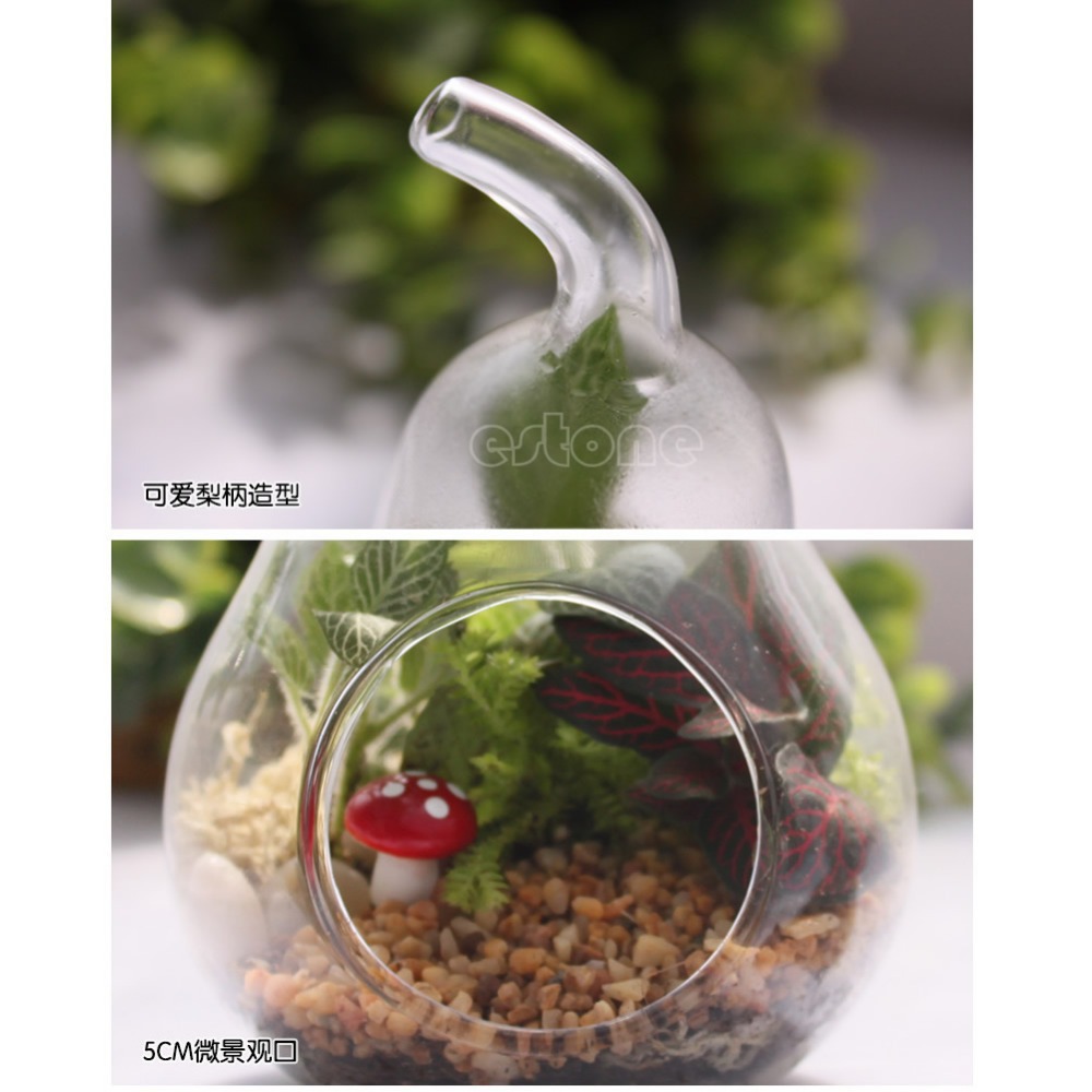 Hjem indretning pære krystalglas vase planter terrarium beholder hydroponic pot
