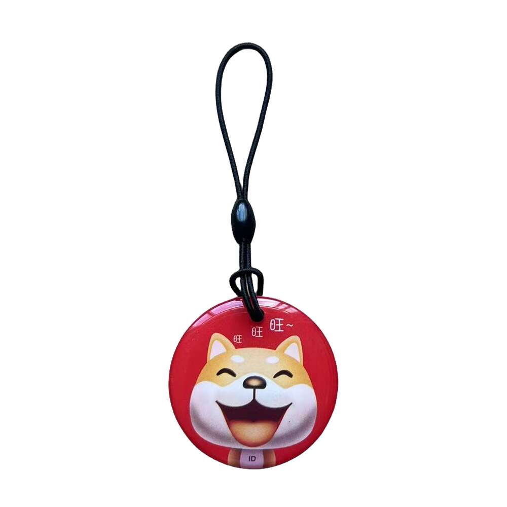 Porte-clés RFID réinscriptible, étiquette RFID, copie d'accès, carte de données vierge, anneau de jeton d'identification, porte-clés, contrôle d'accès ClhbKeychain, 125 tiens z, T5577, EM4305, 1PC: Russet