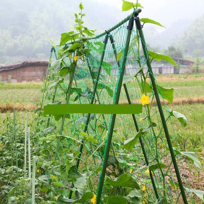 Red Verde de nailon para jardín de malla de 10x10cm apoyo redes para plantas trepadoras de judías crecer cerca de escalada neto engrosada línea